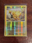 Shinx