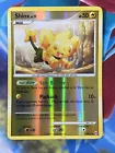 Shinx