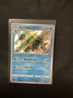 Drednaw