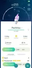 Pachirisu