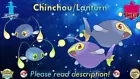 Chinchou