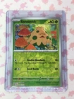 Shroomish