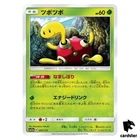 Shuckle