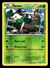 Skiddo