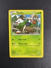 Skiddo