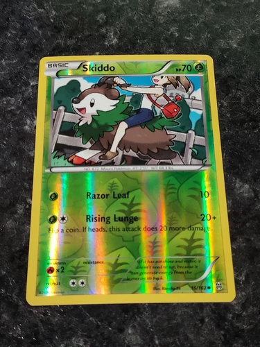 Skiddo