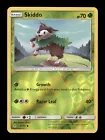 Skiddo