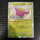 Skiploom
