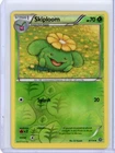 Skiploom