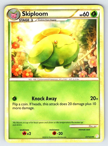Skiploom