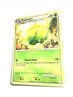 Skiploom