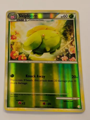 Skiploom