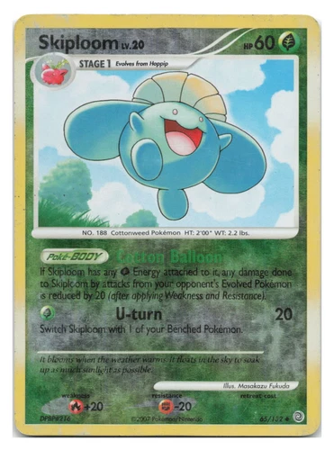Skiploom