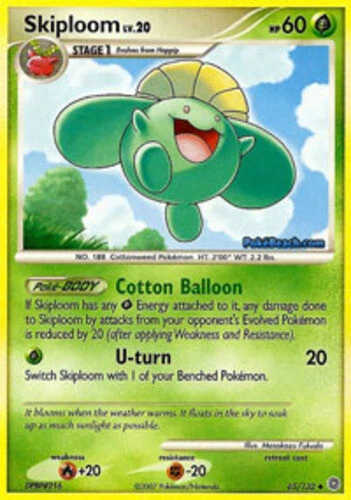 Skiploom