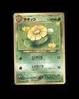 Skiploom