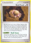 Skull Fossil