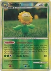 Sunflora