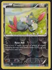 Sneasel