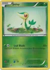 Snivy