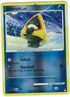 Snorunt