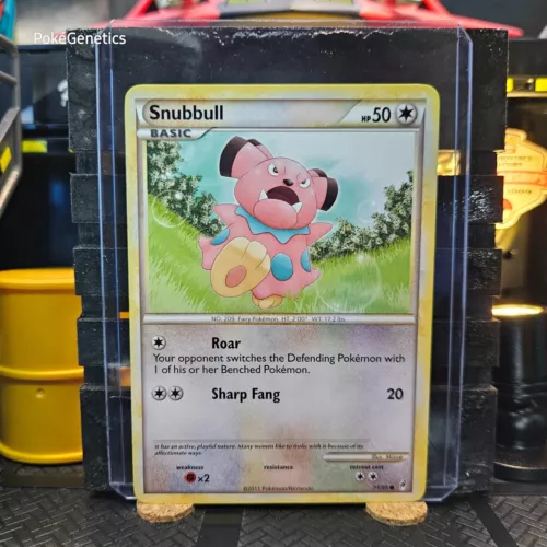 Snubbull