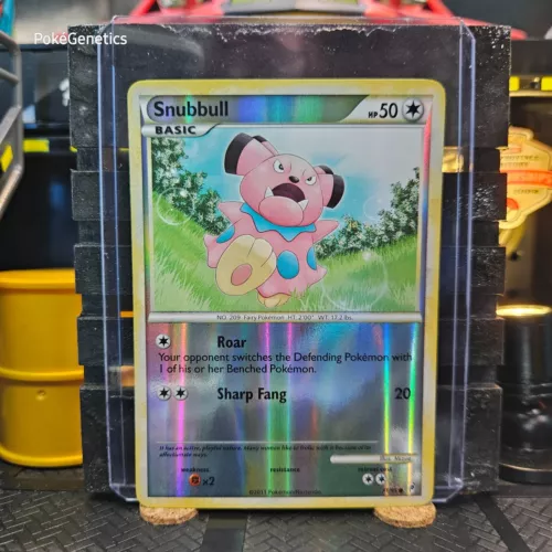 Snubbull