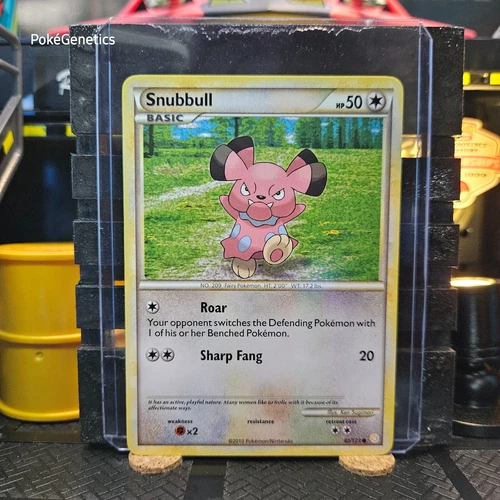 Snubbull
