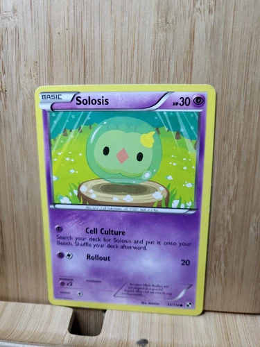 Solosis