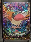 Spearow
