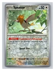 Spearow