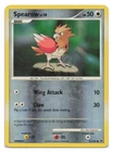 Spearow