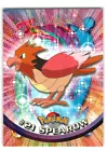 Spearow
