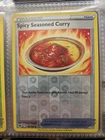 Spicy Seasoned Curry