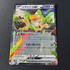 Squawkabilly ex