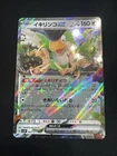 Squawkabilly ex