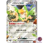 Squawkabilly ex