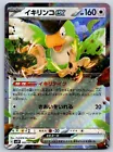Squawkabilly ex