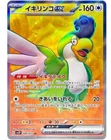 Squawkabilly ex