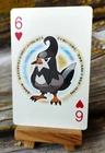 Staravia