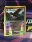 Staravia
