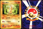 Morpeko V