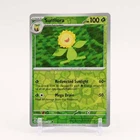 Sunflora