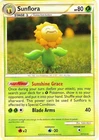 Sunflora