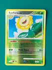 Sunflora
