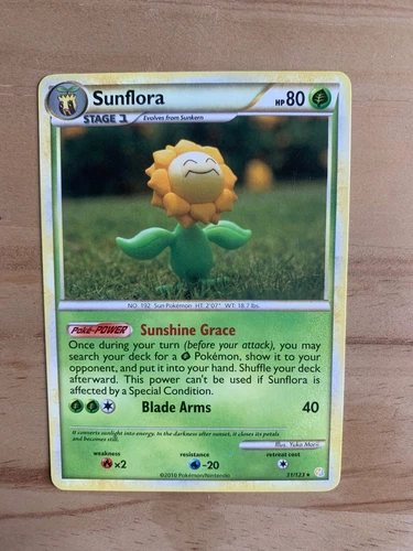 Sunflora