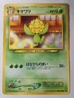 Sunflora