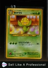Sunflora