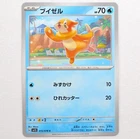 Buizel