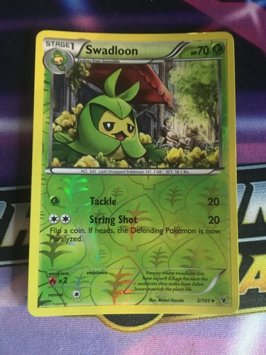 Swadloon