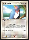 Swellow